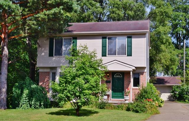 Parkdale Heights Rochester MI Homes for sale 